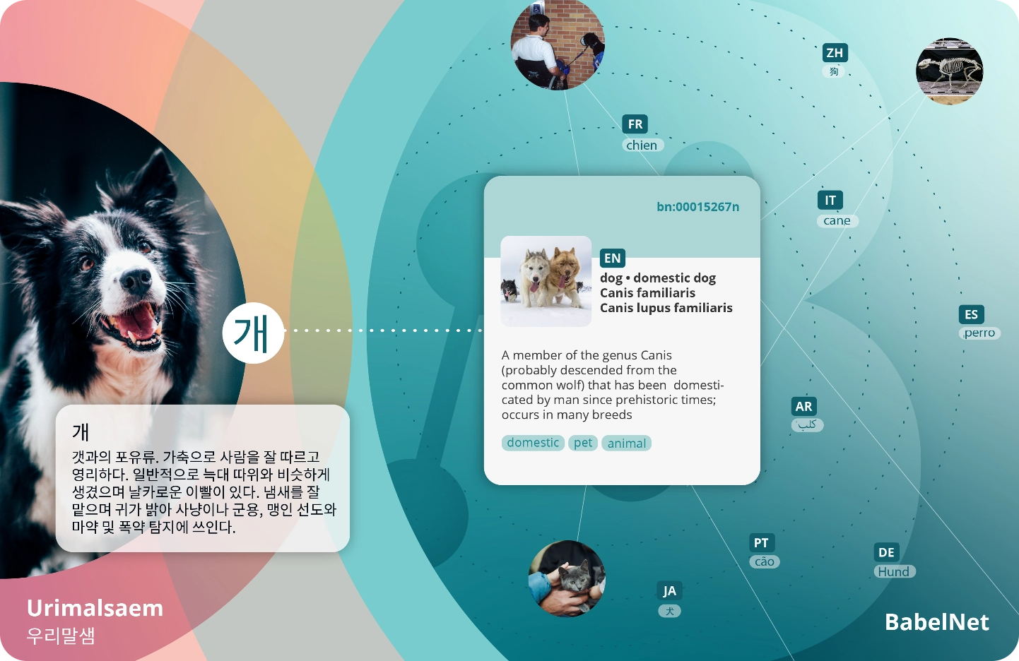 Bringing Urimalsaem to BabelNet: Roberto Navigli, Francesco Maria Tucci and Lee Kwan-kyu